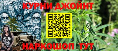 гидра Краснознаменск